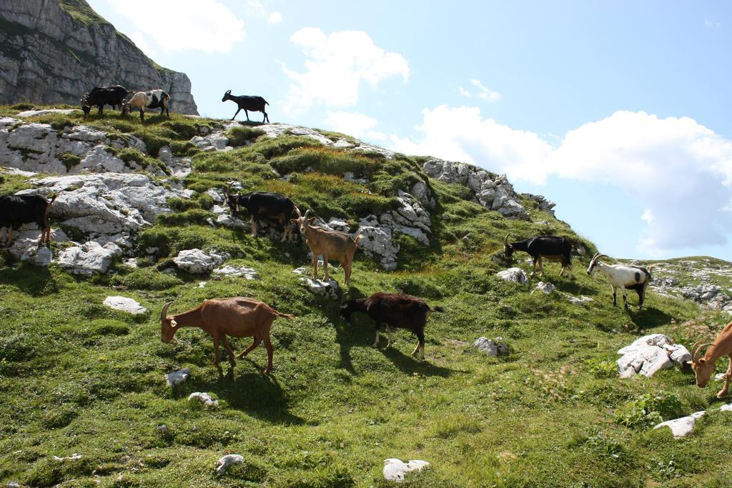 Hotel Alp Bovec Exterior photo